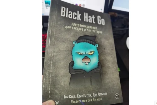 «Black Hat Go. Программирование для хакеров и пентестеров»